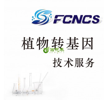 植物转基因