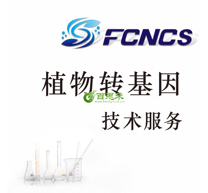 植物转基因